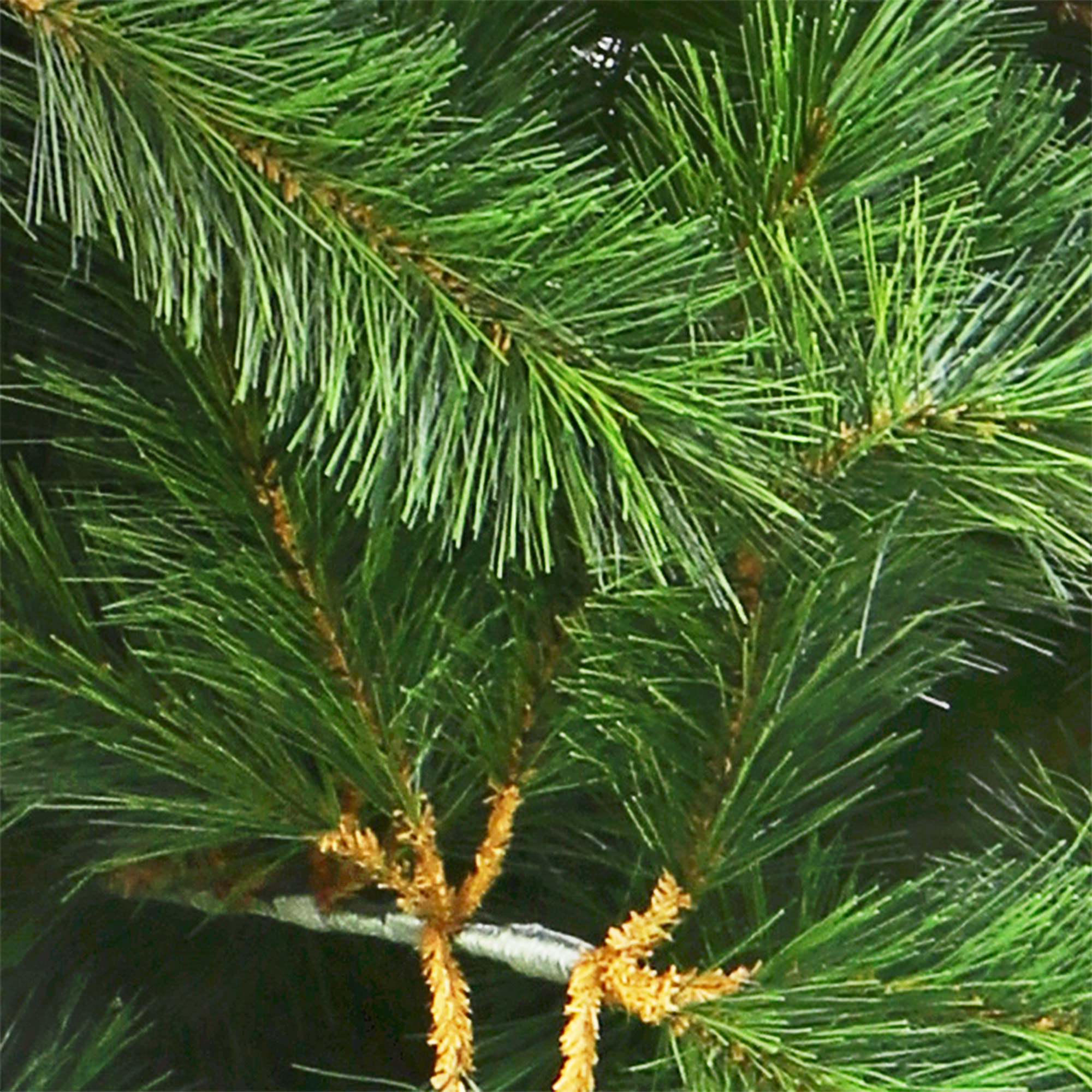 Ель новогодняя Imperial Tree Richmond Spruce 228см, цвет зеленый - фото 5