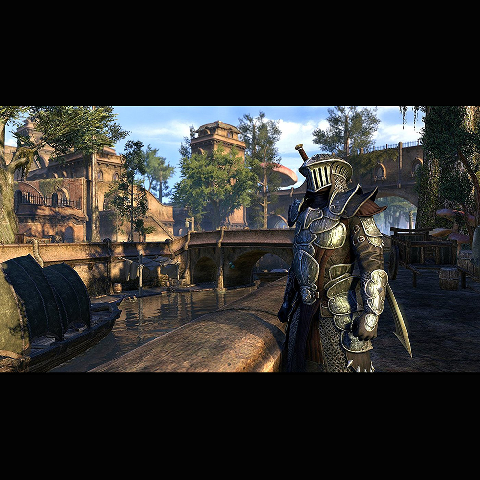 фото Игра для sony ps4 the elder scrolls online: morrowind русская документация bethesda softworks