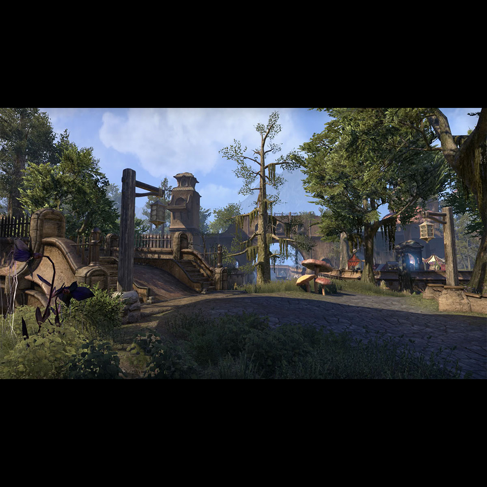 фото Игра для sony ps4 the elder scrolls online: morrowind русская документация bethesda softworks