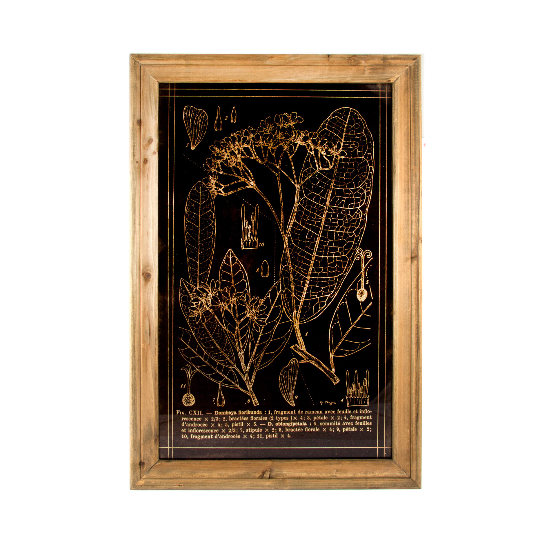 

Картина Русские подарки Растения 40x2x60 см, Черный;золотой