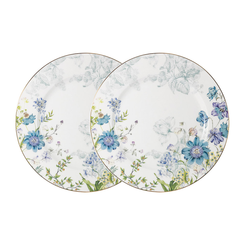Набор Anna Lafarg Primavera Лазурь из 2-х обеденных тарелок 26,5 см, цвет белый - фото 1