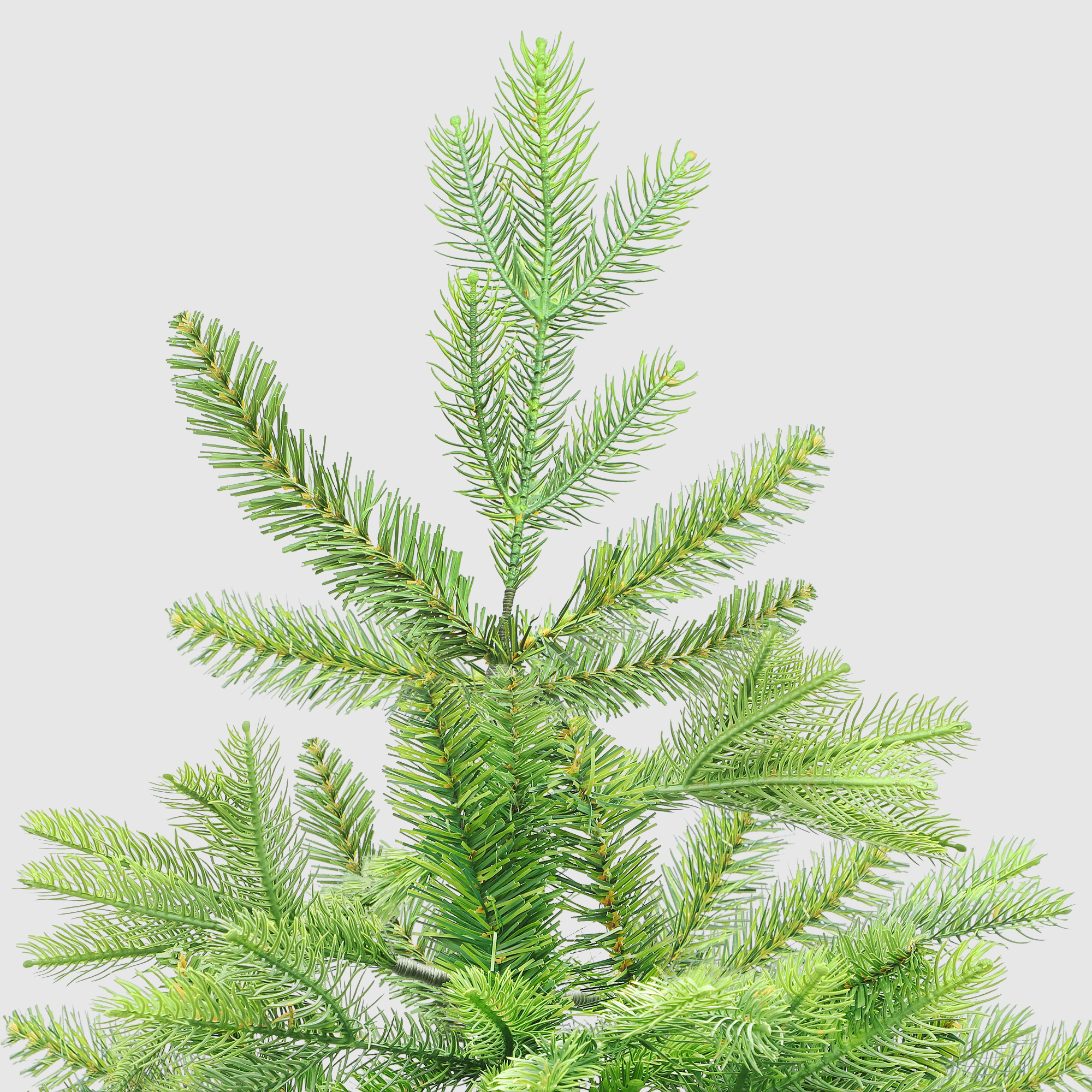 фото Ель новогодняя imperial tree vermont spruce 182 см