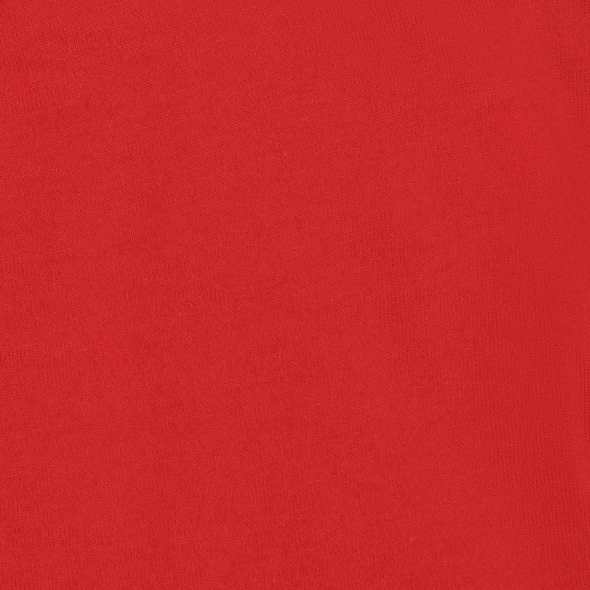Мужская футболка Pantelemone MF-913 46 красная, цвет красный, размер 46 - фото 3