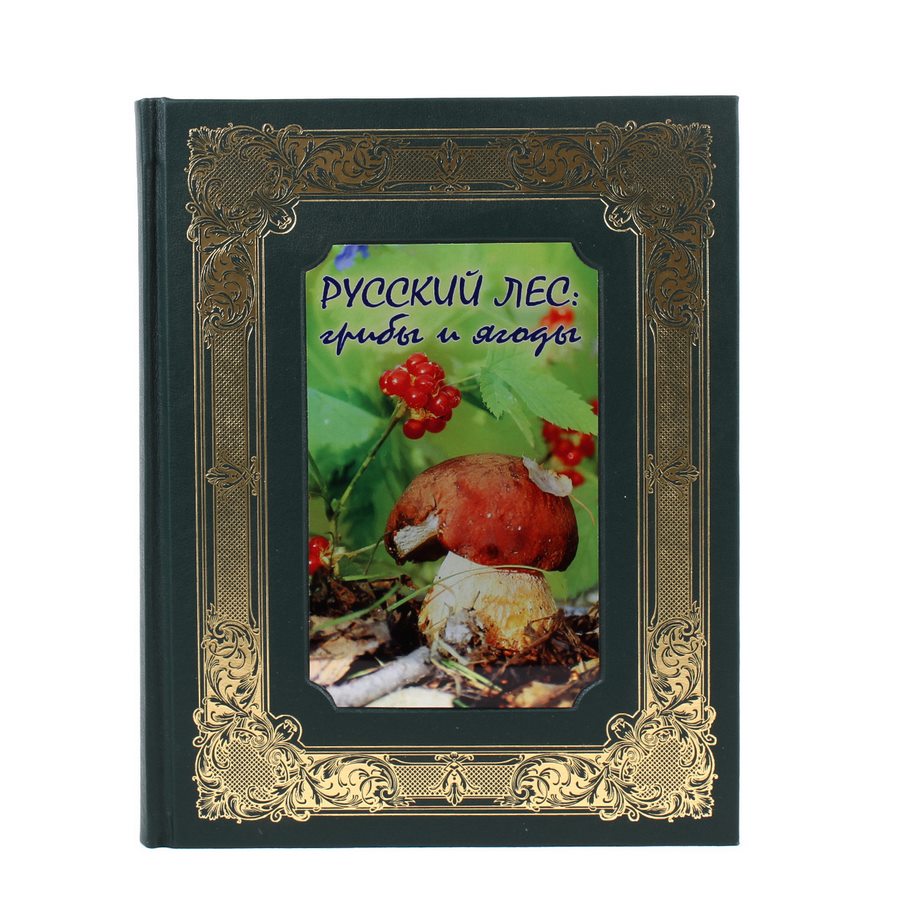 фото Книга best gift русский лес. грибы и ягоды