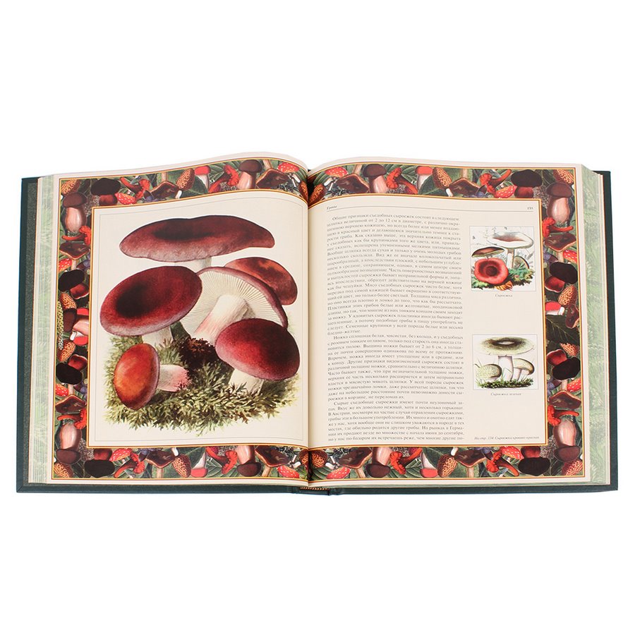 фото Книга best gift русский лес. грибы и ягоды