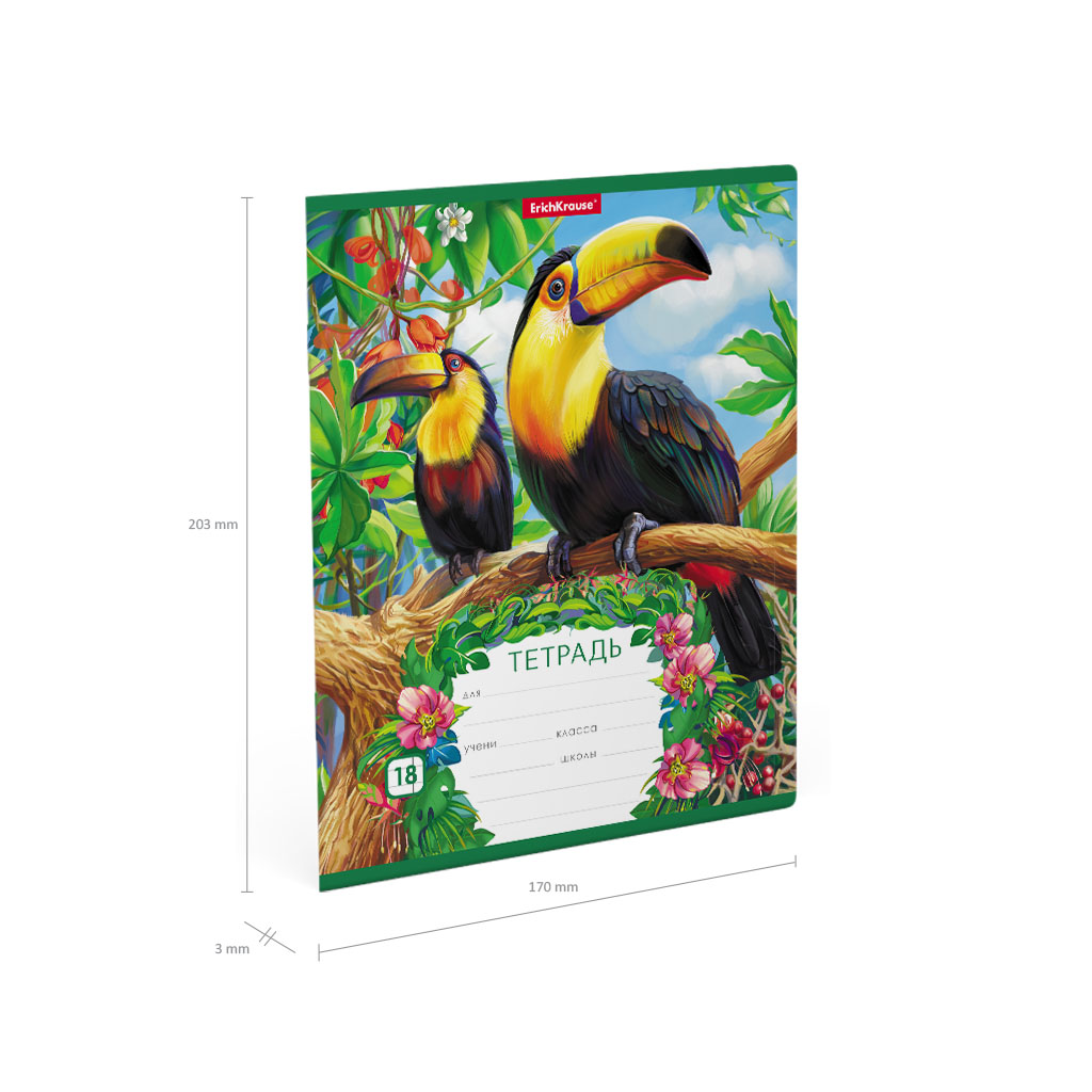Тетрадь ErichKrause Экзотические птицы, 18 листов, клетка, цвет зелёный - фото 7