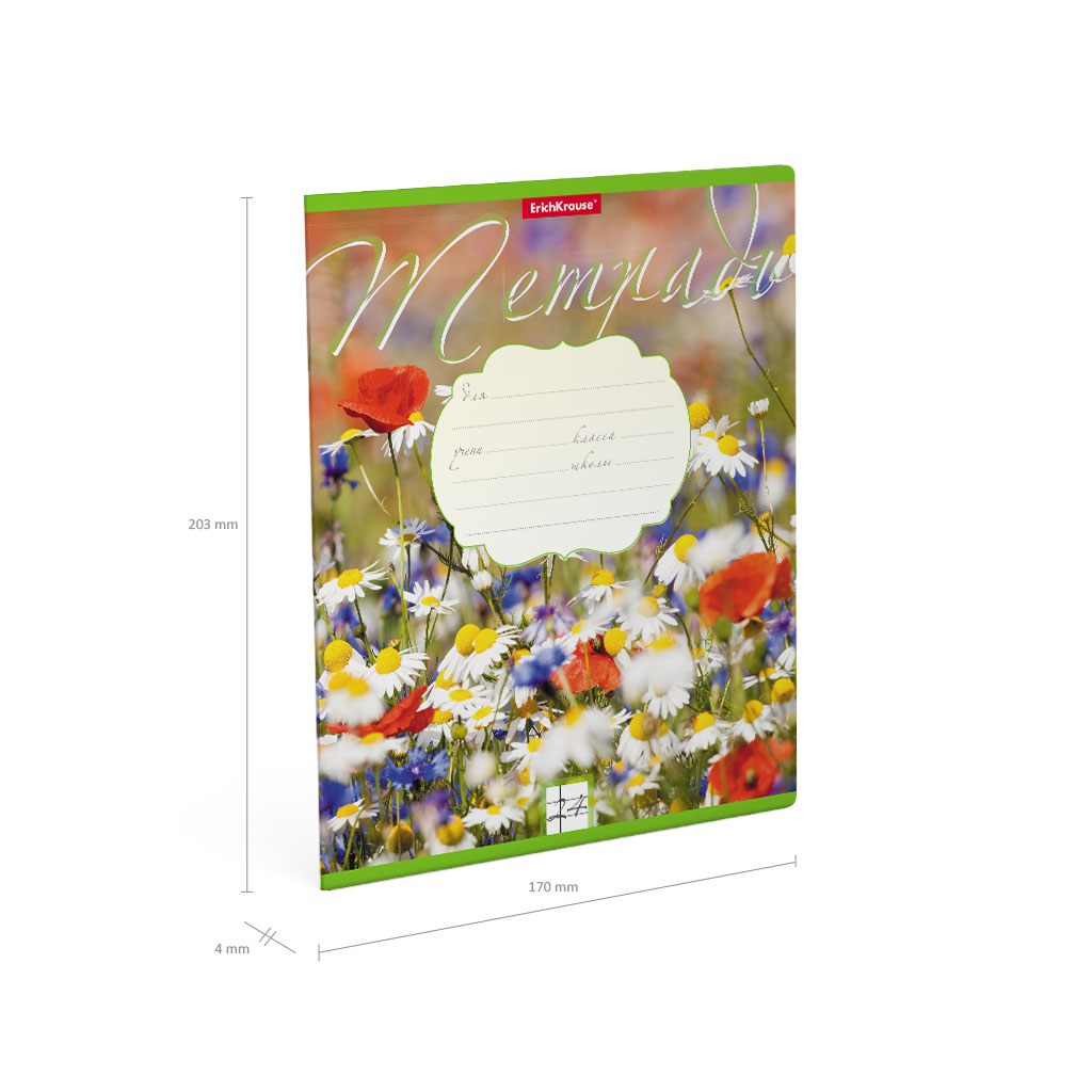 Тетрадь ErichKrause Цветущие луга, 24 листа, линейка - фото 7