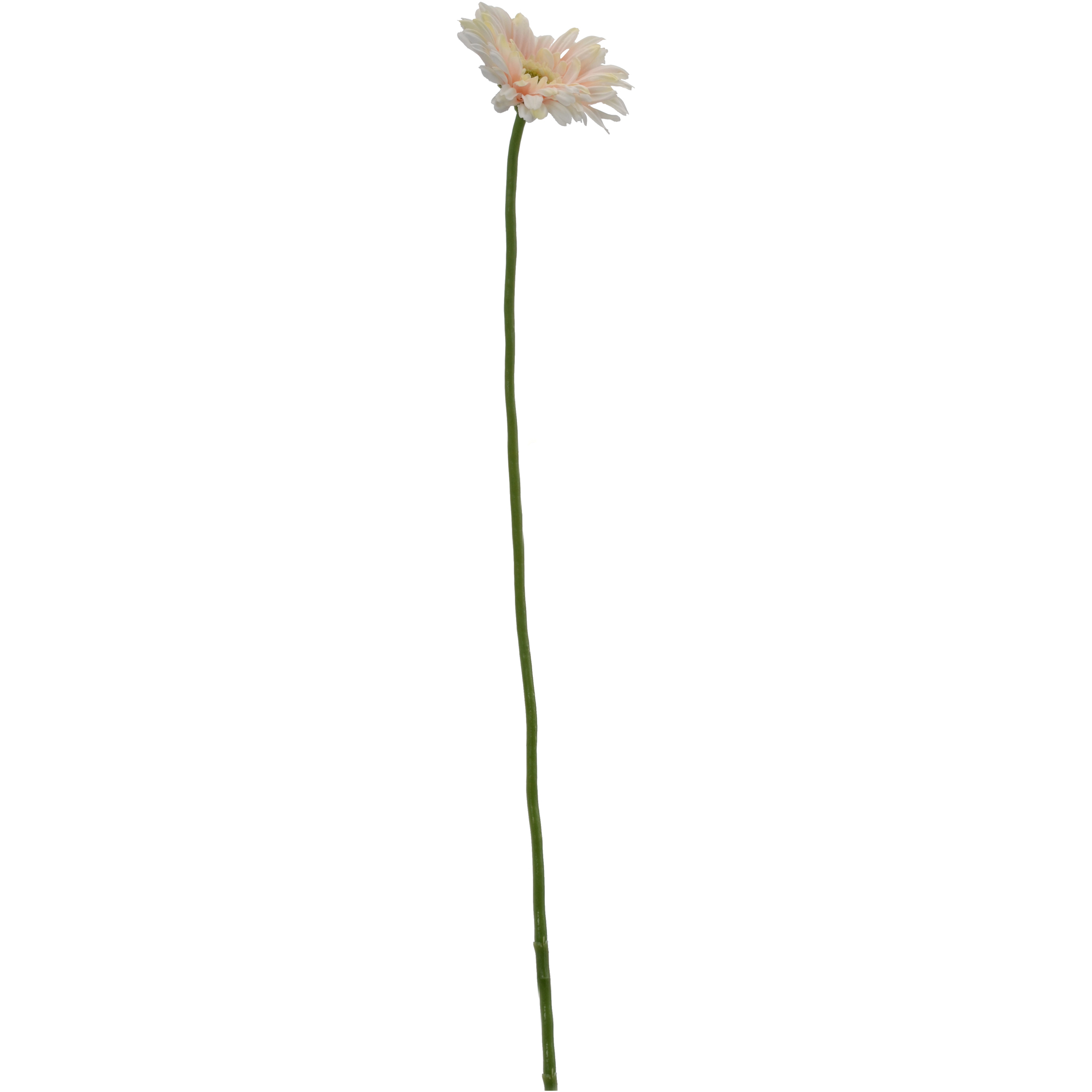 Искусственный цветок Most flowers Гербера кремовый (MF1812019S)