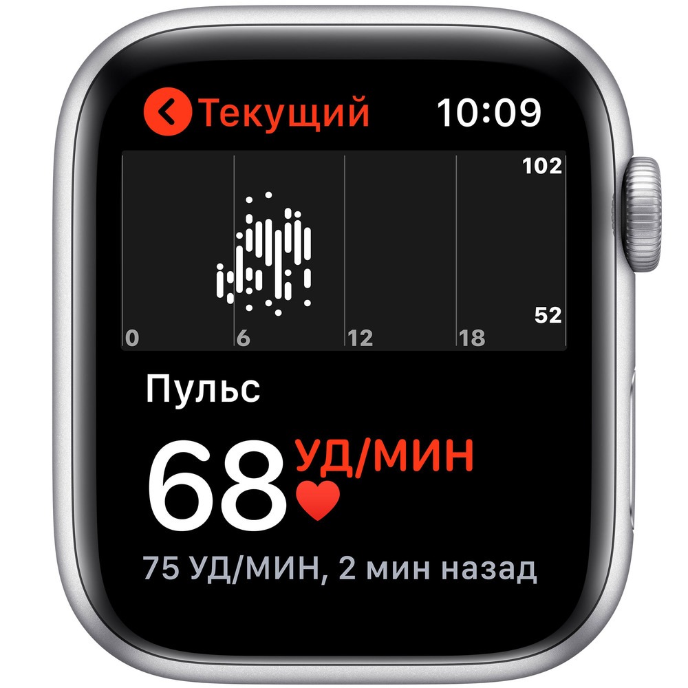 Часы Apple Watch SE GPS 40 мм Silver MYDM2RU/A