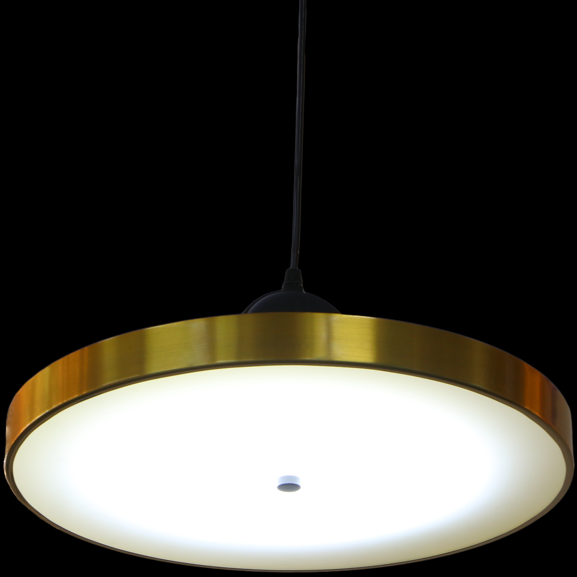Светильник Archer Lighting подвесной LED P9124-1D, цвет 2800-3500k - фото 2
