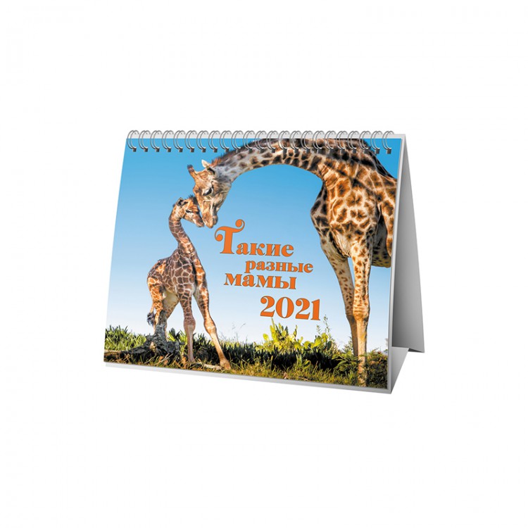 

Календарь-домик Такие разные мамы на 2021 год