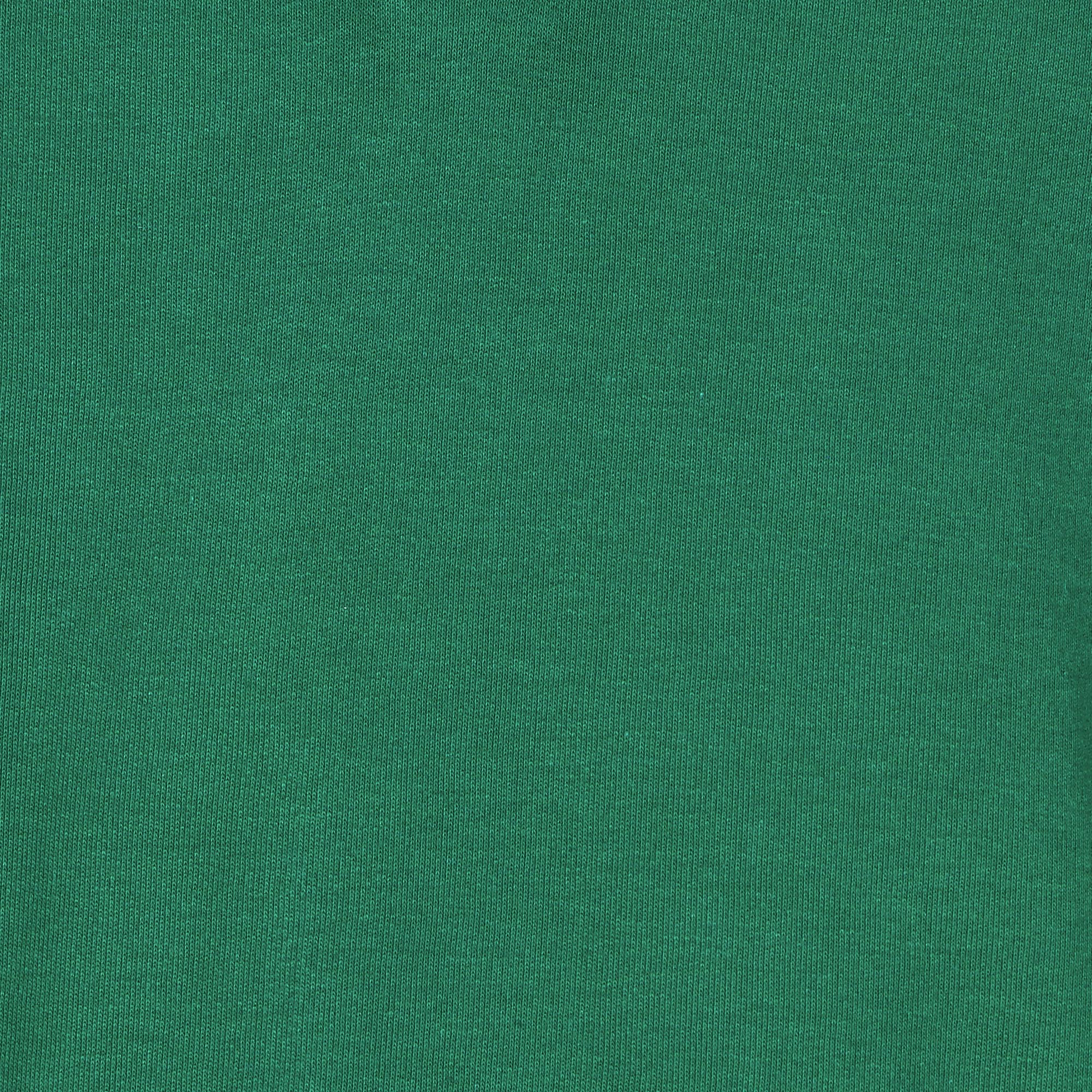 Мужская футболка-поло Diva Teks зелёная (DTD-09), цвет зелёный, размер 44-46 - фото 6
