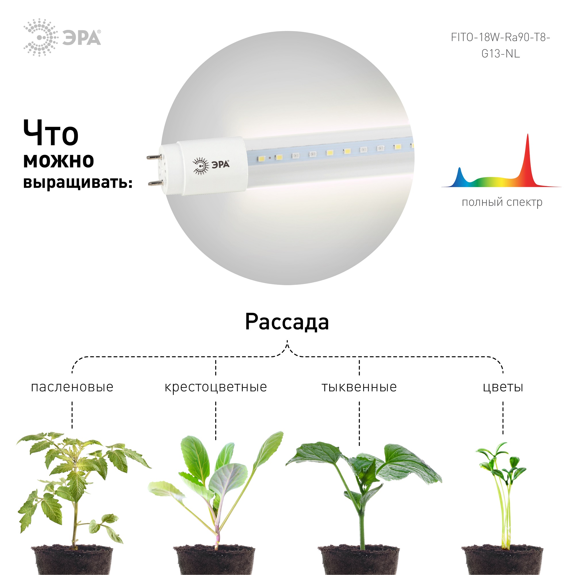 Лампа полного спектра Эра FITO-18W-Ra90-Т8-G13-NL, цвет 1200к - фото 4