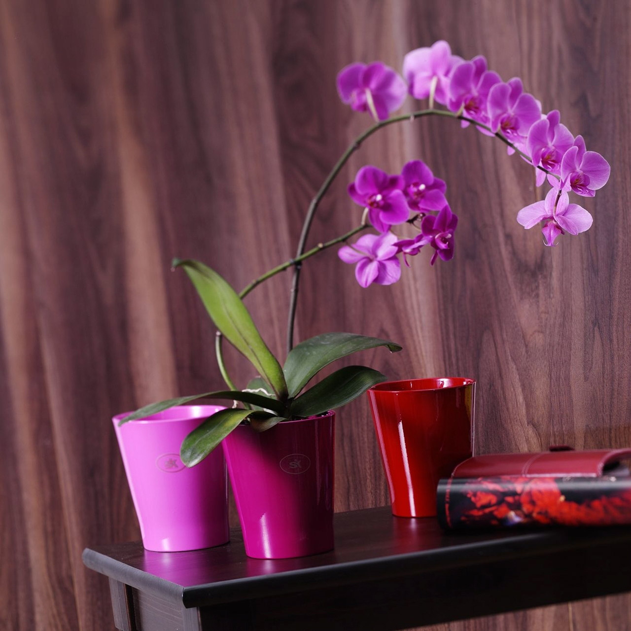 Кашпо для орхидей Soendgen merina d14 ежевичный - фото 2