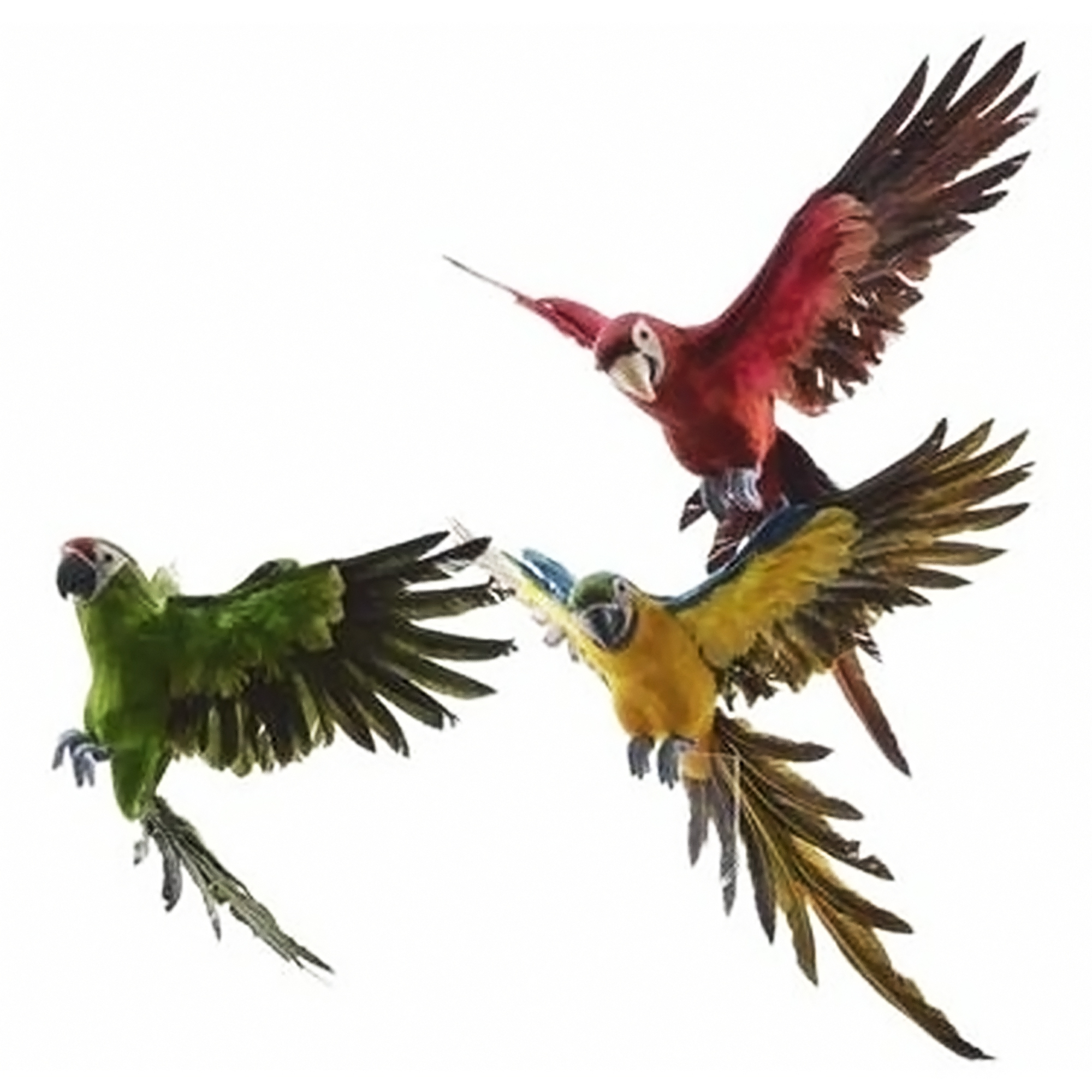 Статуэтка Glasar Три попугая зеленый, желтый, красный, 18х52х60 см
