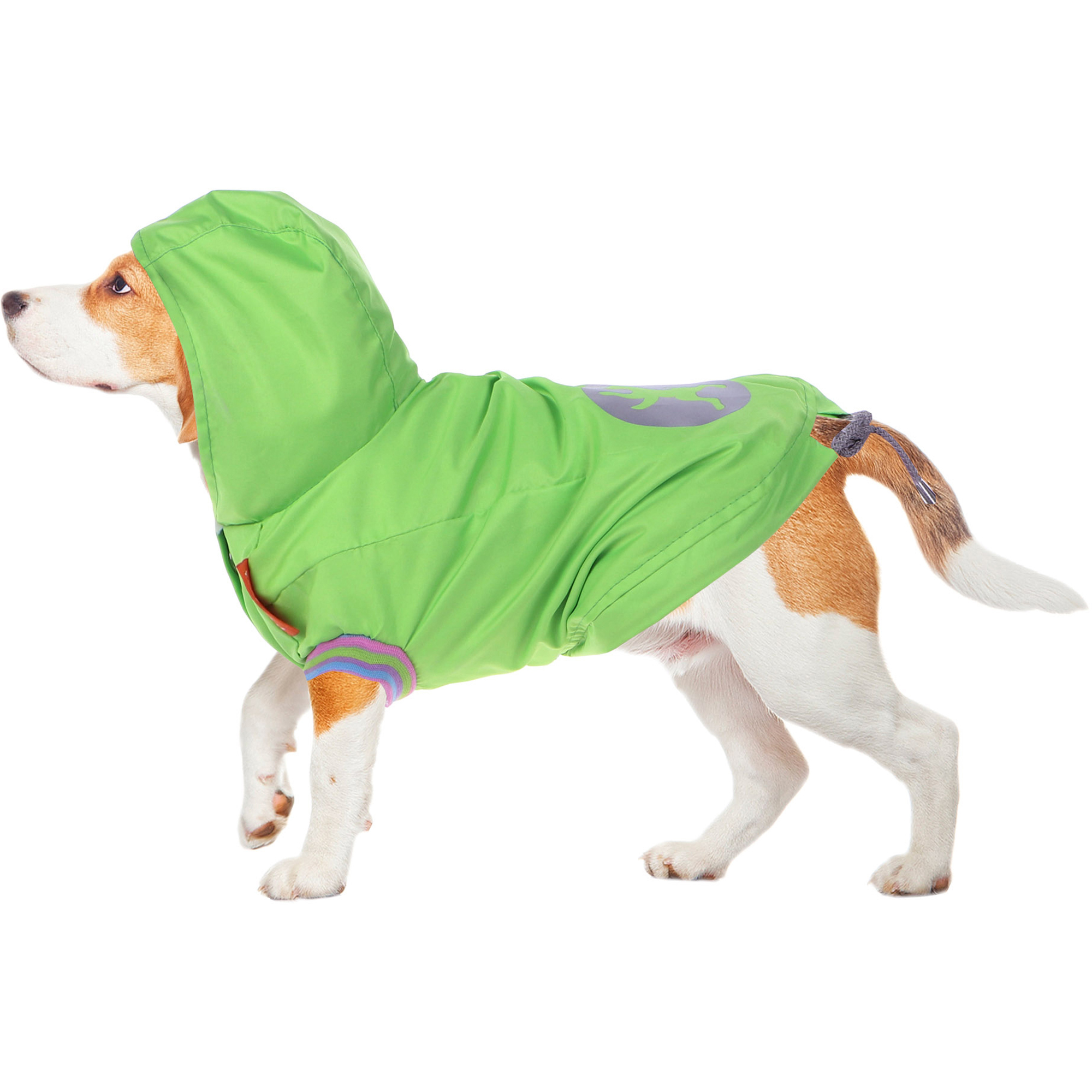 фото Куртка для собак happy puppy green 2