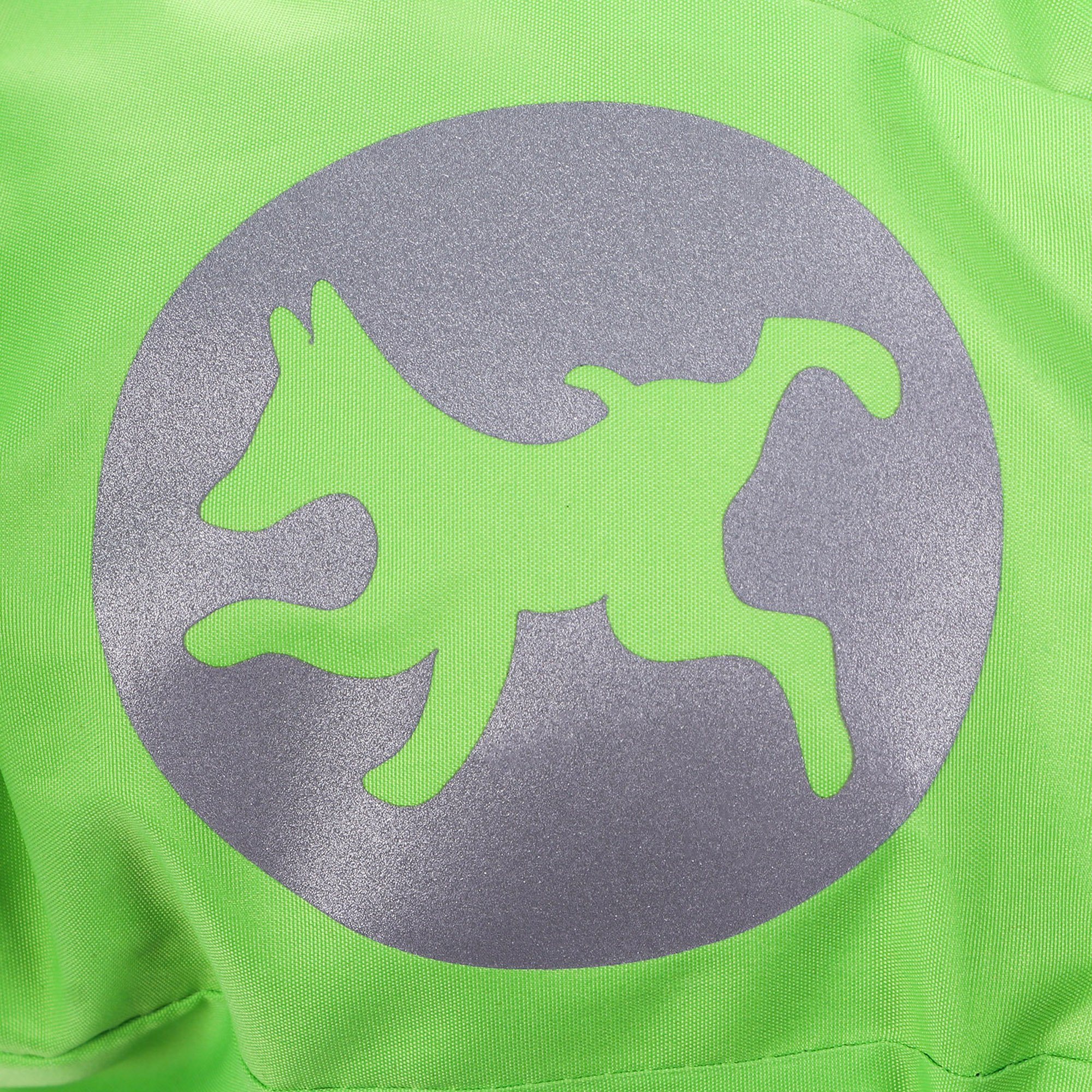фото Куртка для собак happy puppy green 2