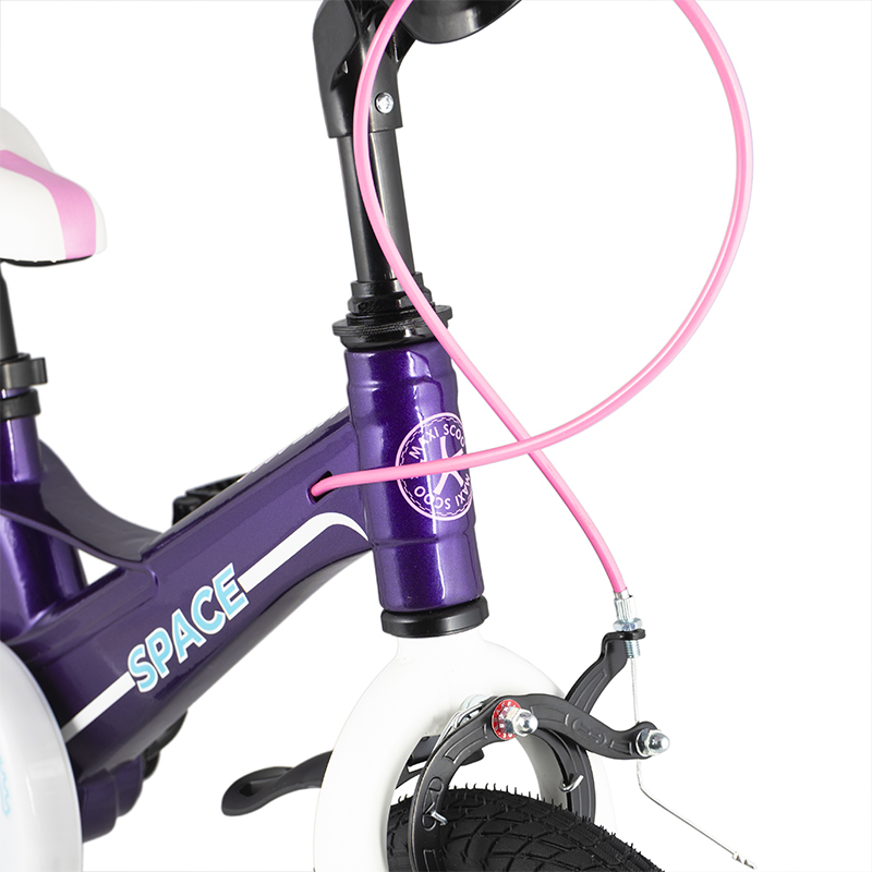 фото Детский двухколесный велосипед maxiscoo серия "space" (2021), стандарт, 18", фиолетовый msc-s1806