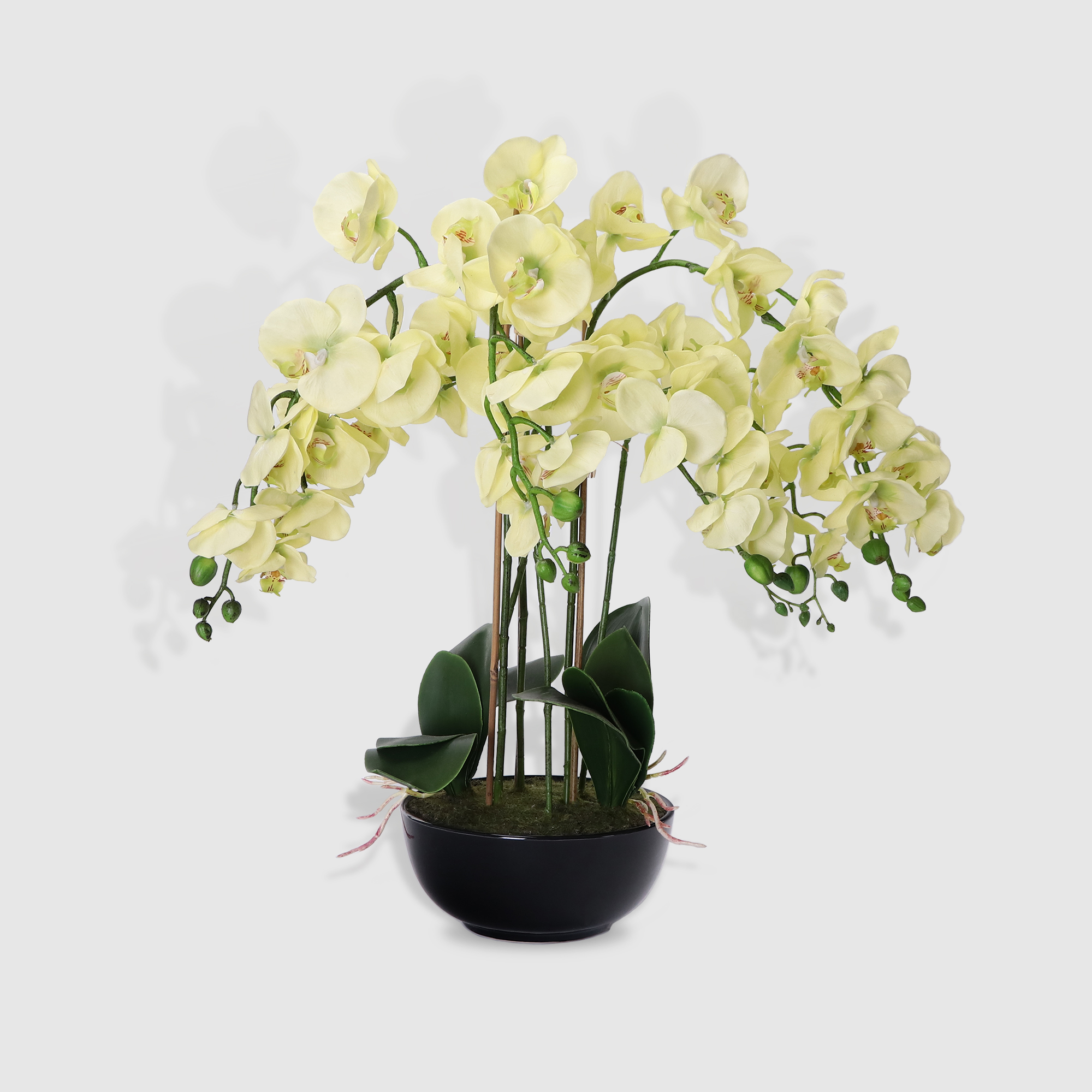 Цветок Colorful искусственный в горшке орхидея бежевый 70 см