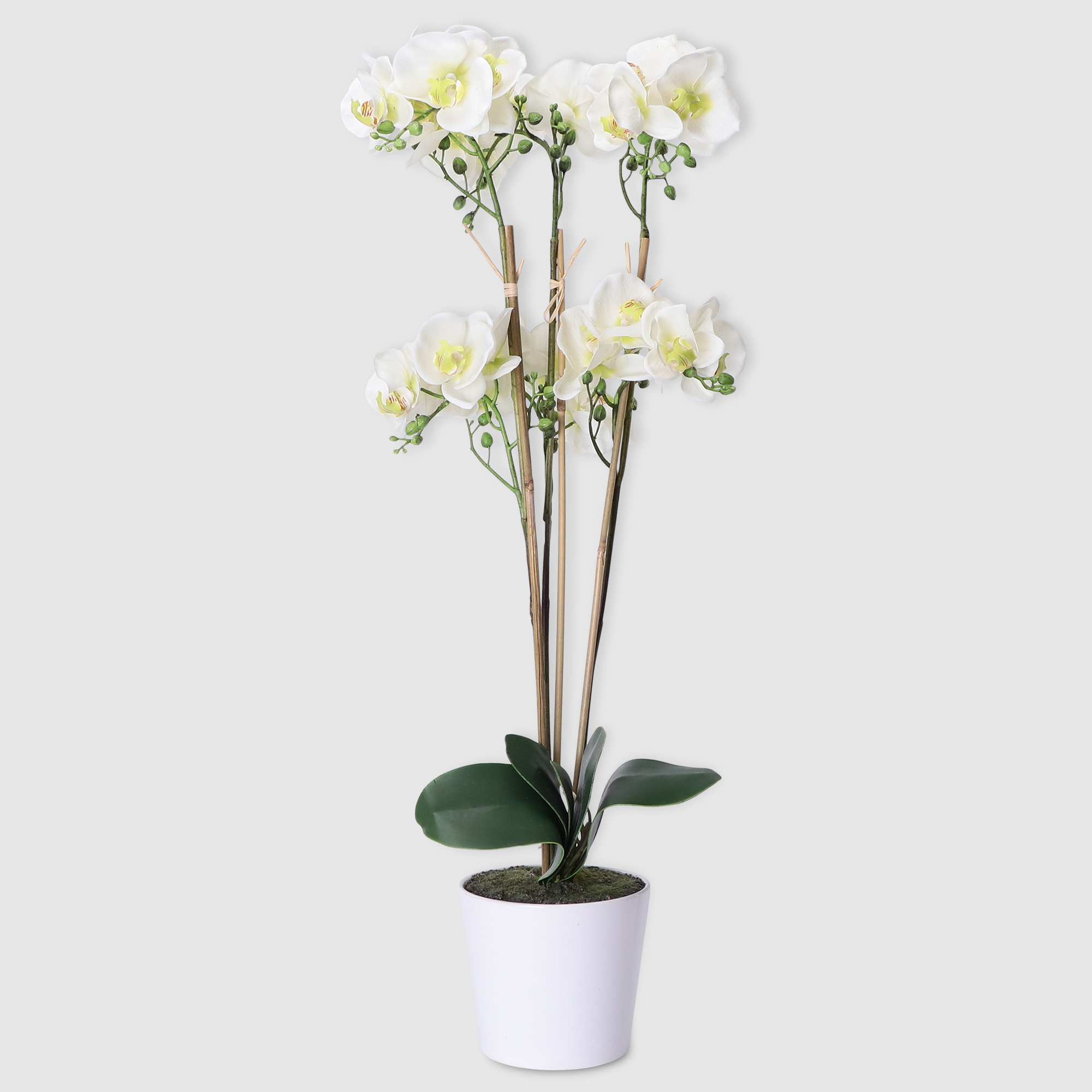 Цветок Colorful искусственный в горшке орхидея белый 85 см