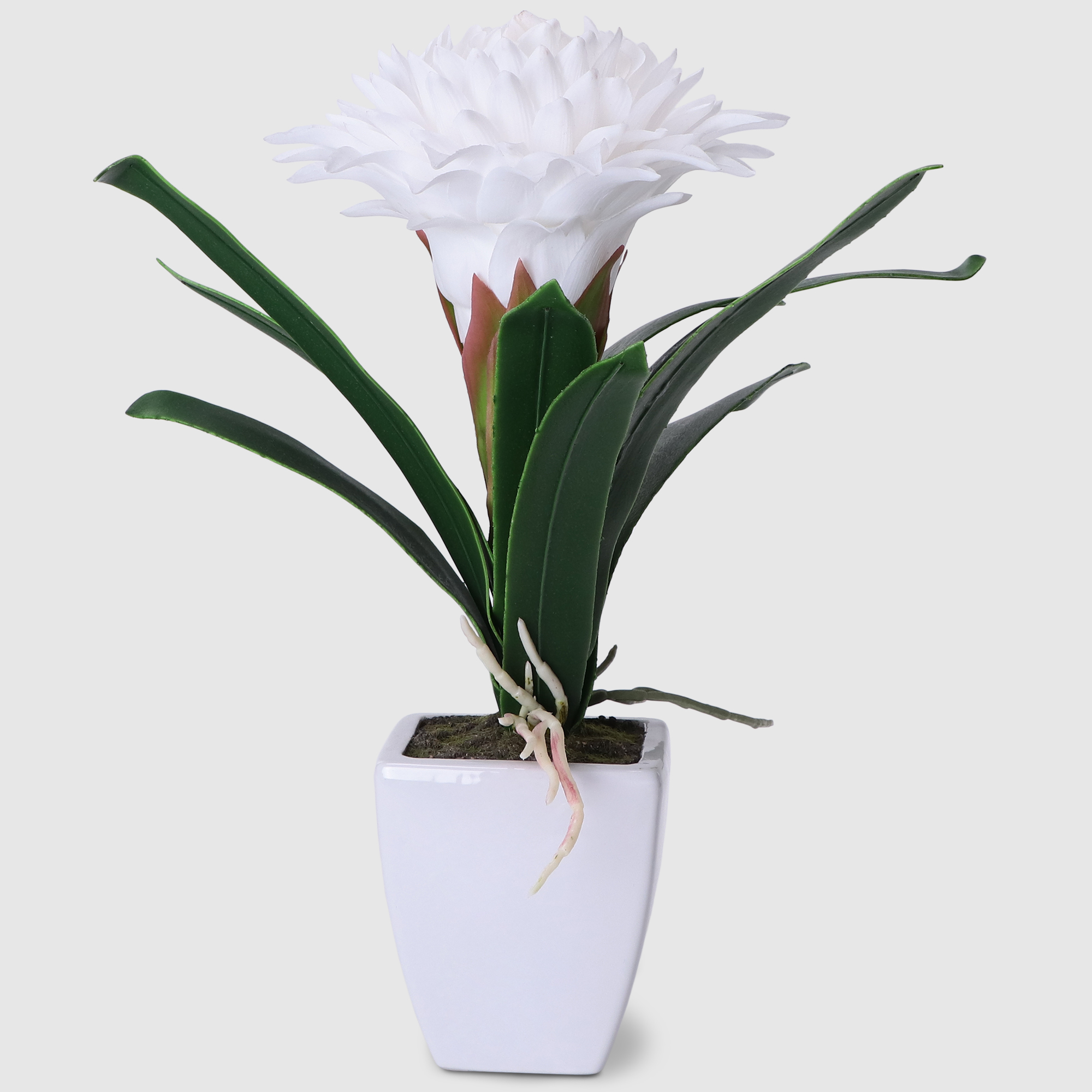 Цветок Colorful искусственный в горшке гузмания белый 40 см