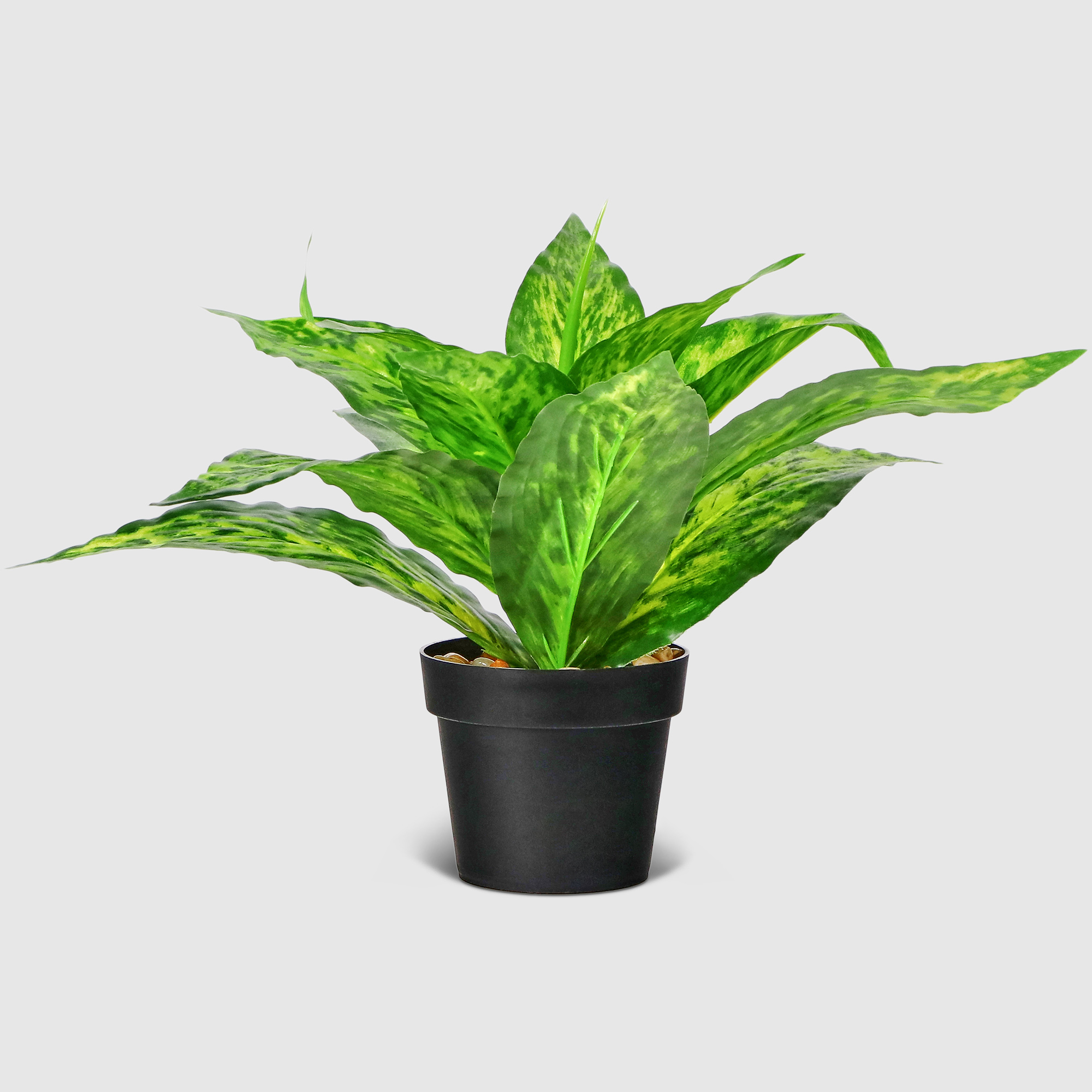 фото Растение в горшке декоративное koopman deco 28 см