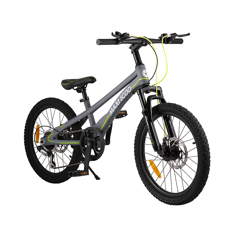Велосипед детский Maxiscoo двухколесный серия 