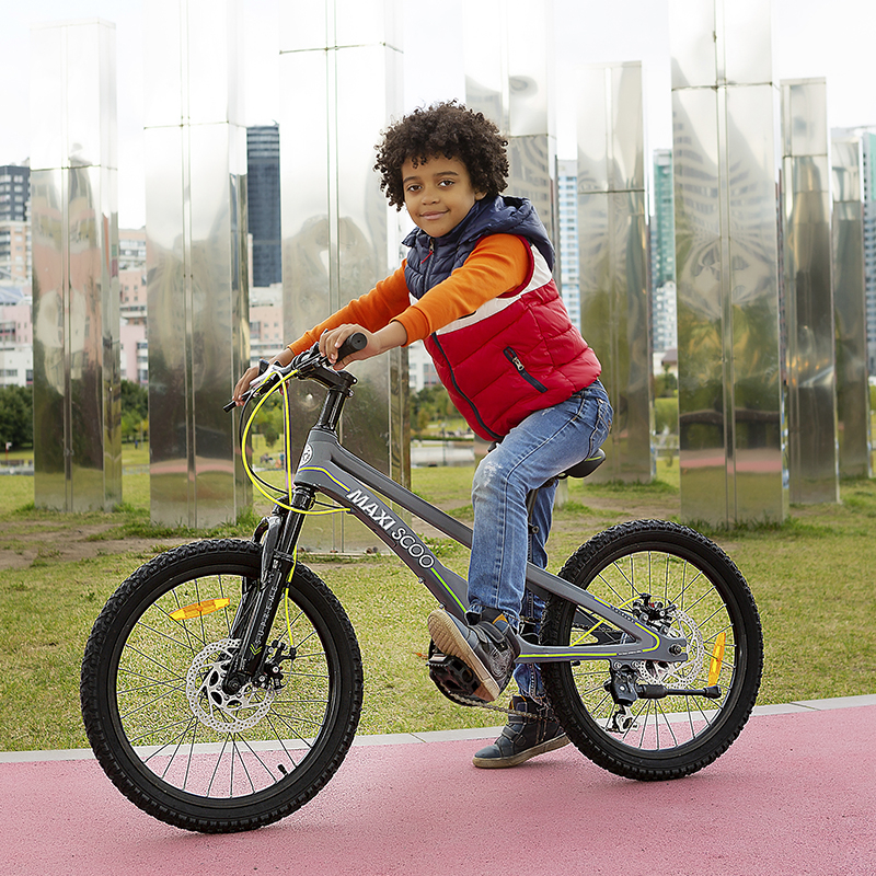 фото Велосипед детский maxiscoo двухколесный серия "supreme"(2021) 6 скоростей 20" серый матовый msc-su2002-6