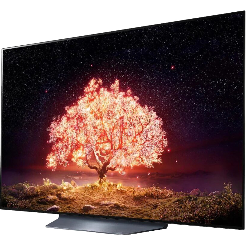 Телевизор LG OLED55B1RLA