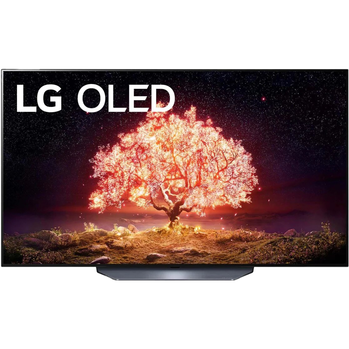 Телевизор LG OLED55B1RLA