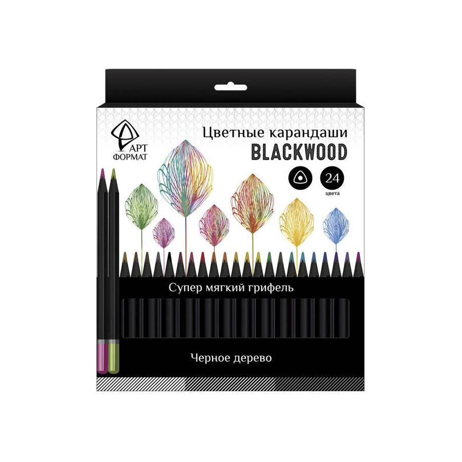 Набор цветных карандашей АРТформат Blackwood 24