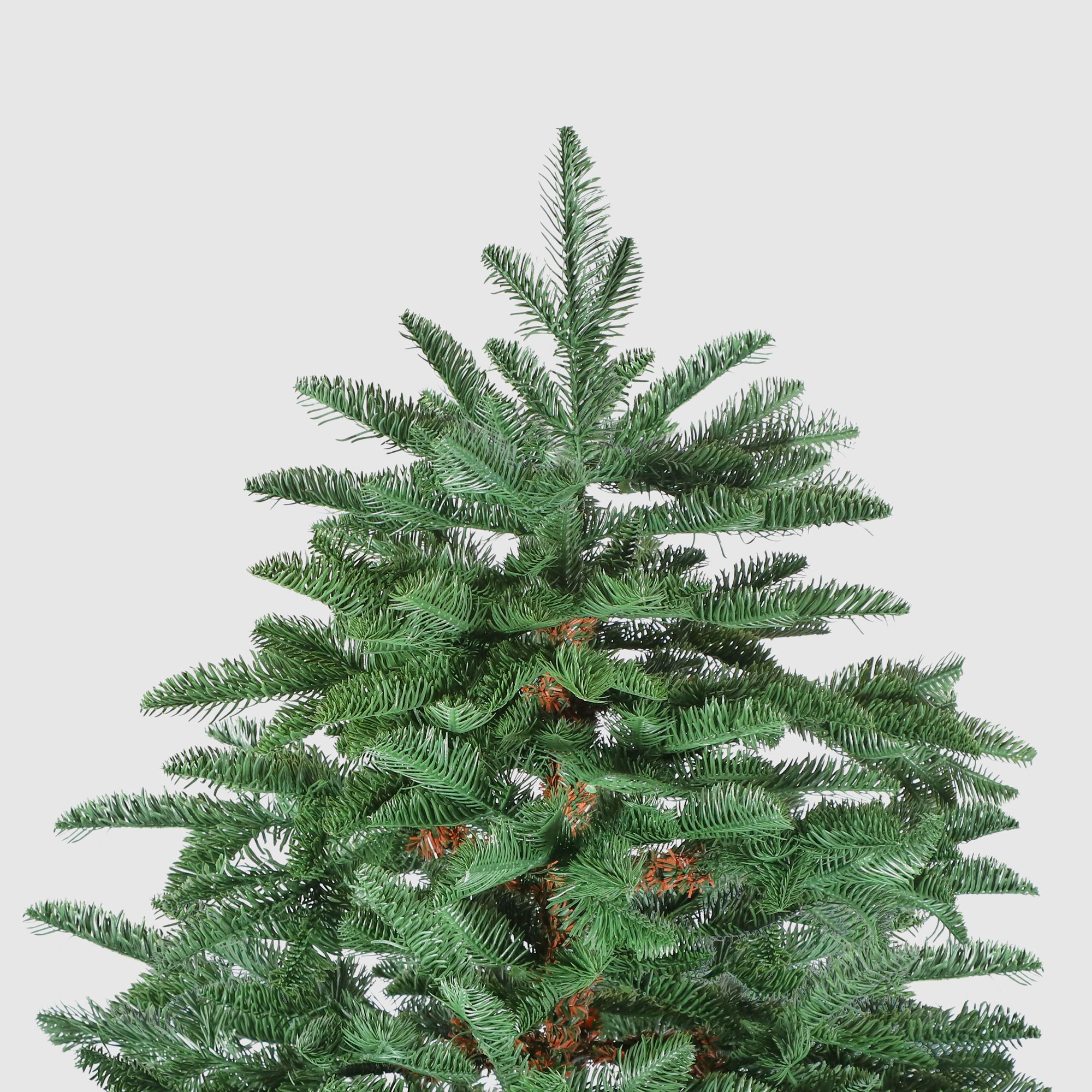 фото Ель новогодняя triumph tree abies nordmann 215 см