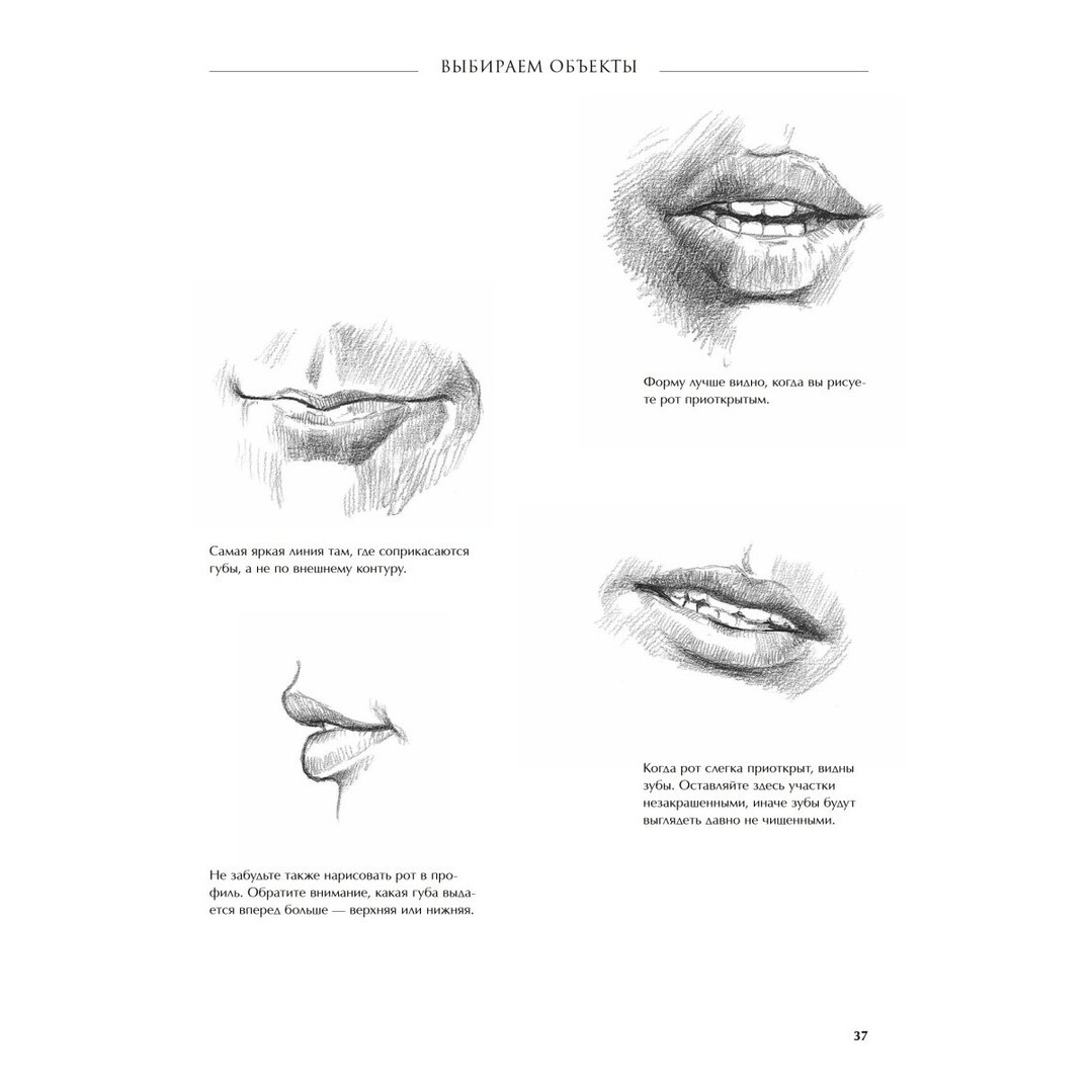 Книга Питер Рисование для начинающих. 7 простых уроков рисования - фото 4