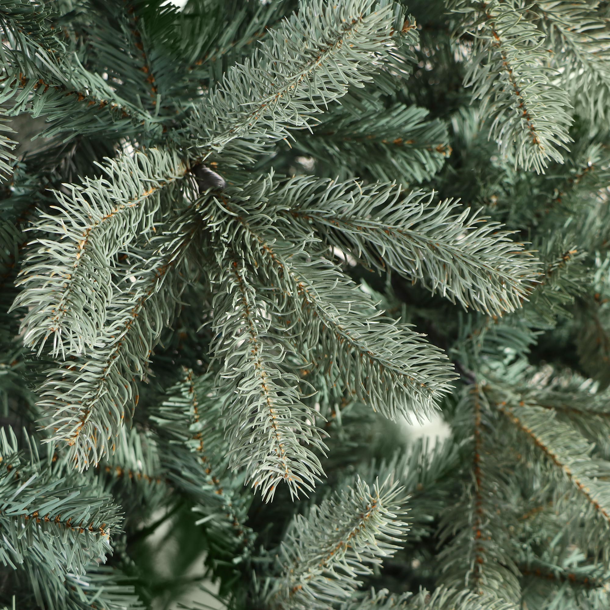 Ель National Tree Downswept douglas blu spruce 225 см, цвет зеленый - фото 4