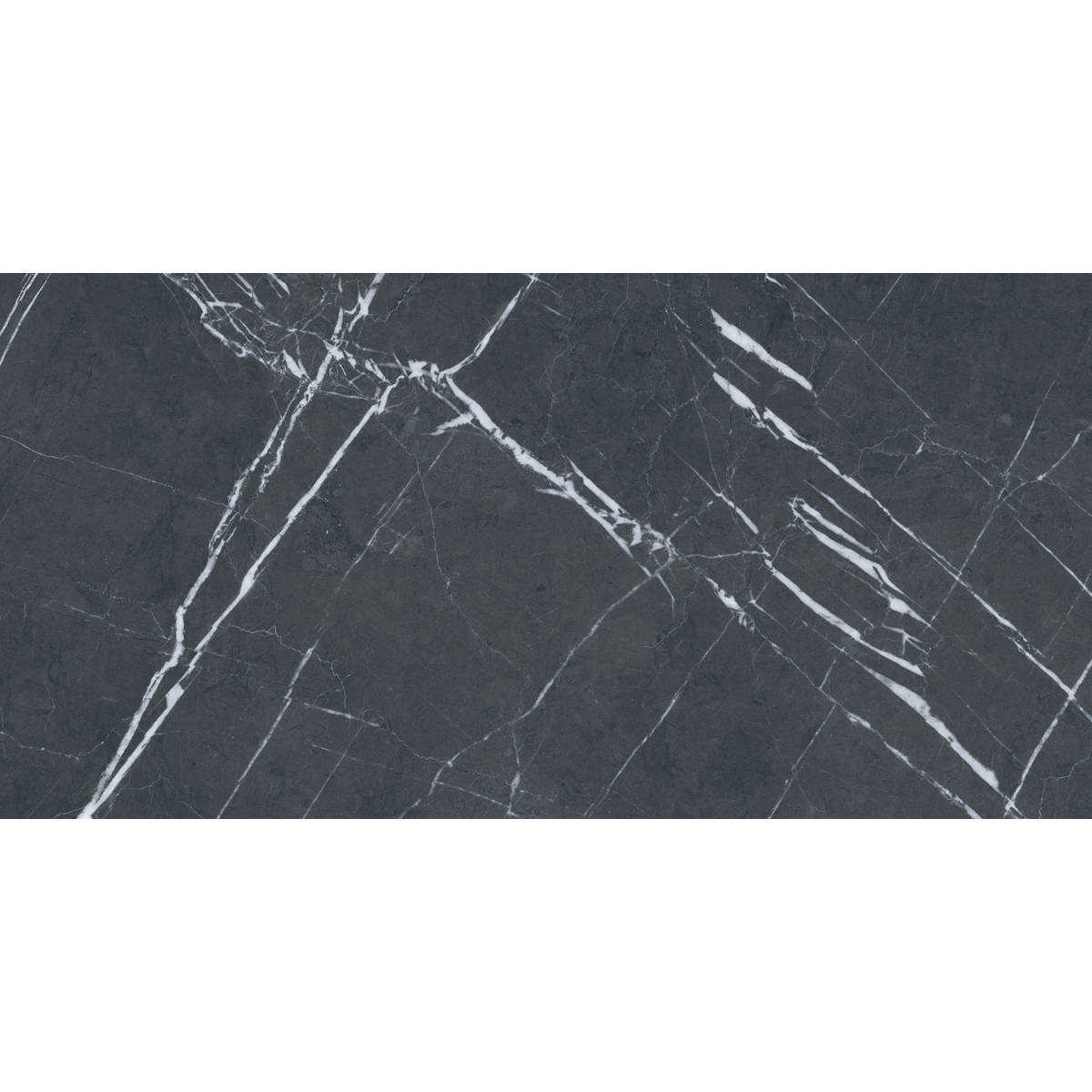 фото Плитка absolut gres black marquina ab1070g 120x60 см