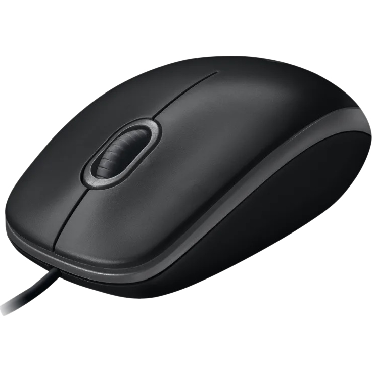 Компьютерная мышь Logitech B100 (910-003357) черный