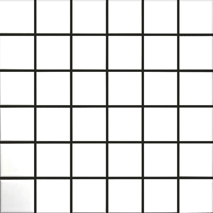 фото Мозаика starmosaic 48x48 white matt 306х306х6