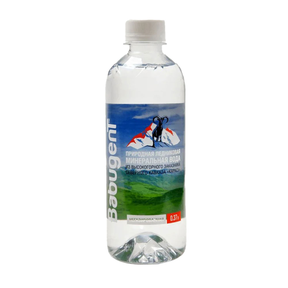 Вода минеральная негазированная BabugenT 0,37 л пластиковая бутылка