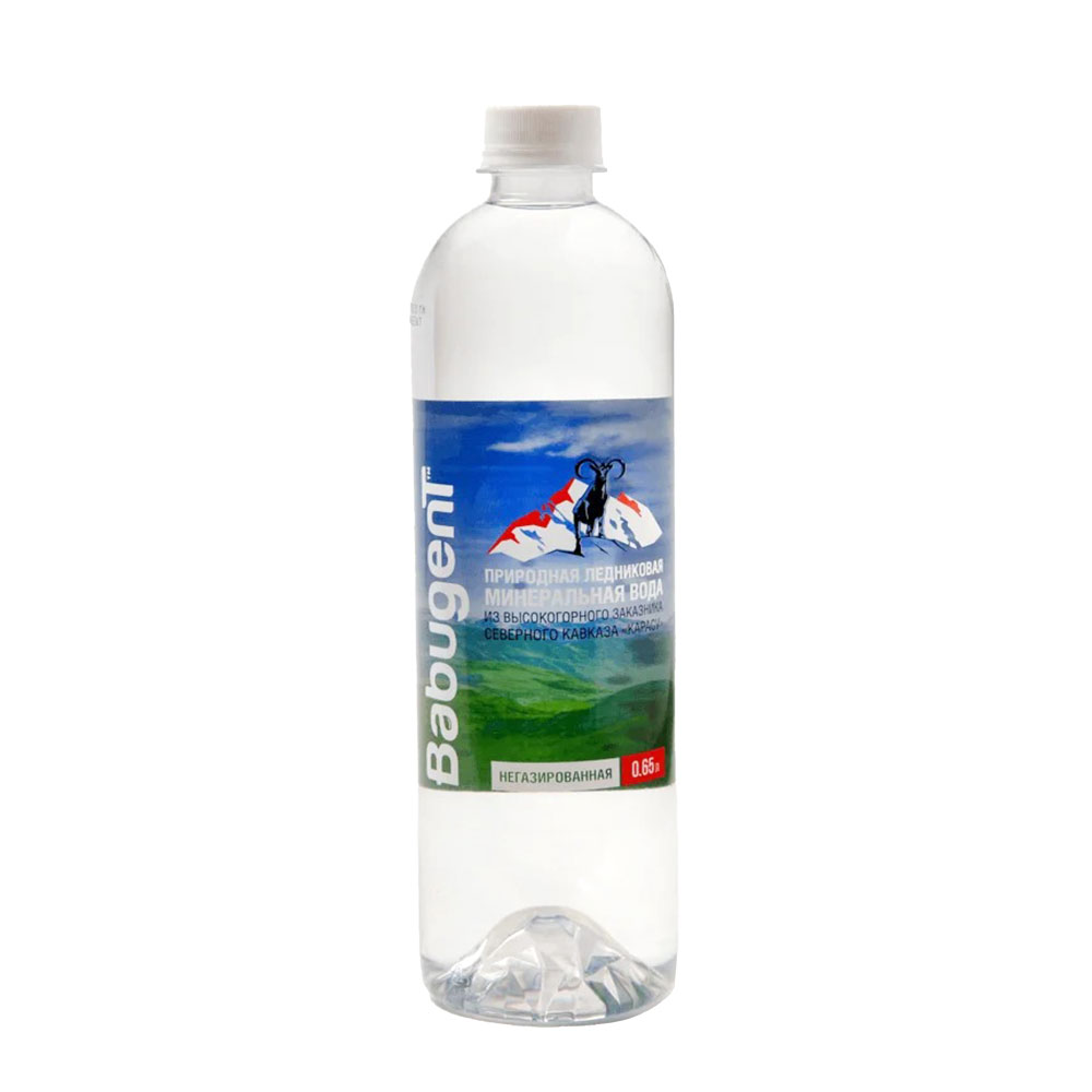 Вода минеральная негазированная BabugenT 0,65 л пластиковая бутылка