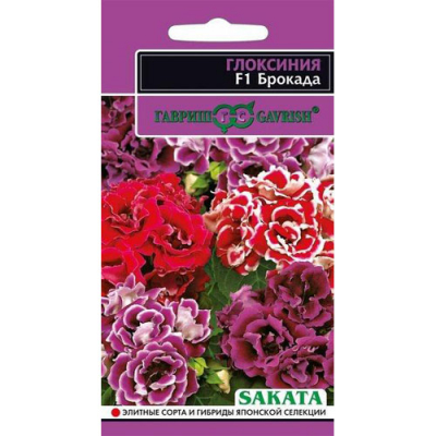 Изображение товара Глоксиния Гавриш Брокада F1 семена для выращивания из рассады 4 шт Изображение товара Глоксиния Гавриш Брокада F1 семена для выращивания из рассады 4 шт