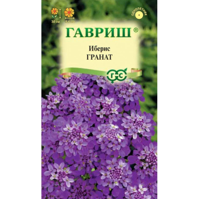 Изображение товара Семена Гавриш Иберис Гранат 0,006 г