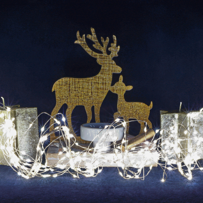 Изображение товара Уличная гирлянда Lotti 38318 240 LED с 8 эффектами и стартовым шнуром