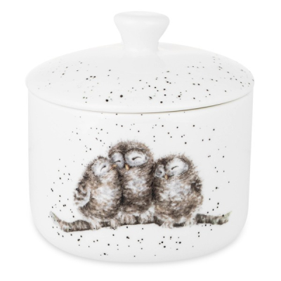 Изображение товара Банка для хранения с крышкой Royal Worcester Забавная фауна Совы 9,5х10 см Изображение товара Банка для хранения с крышкой Royal Worcester Забавная фауна Совы 9,5х10 см