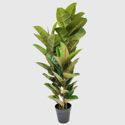 Изображение товара Куст фикуса Конэко-О искусственный, зеленый 135 см, кашпо 18х20х12 см, 3 куста