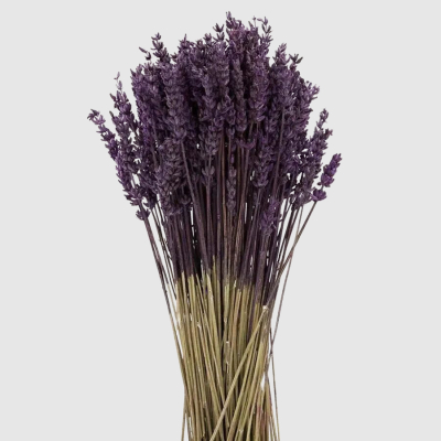 Изображение товара Сухоцветы Donna Flor лаванда французская, сиреневая, 40 см