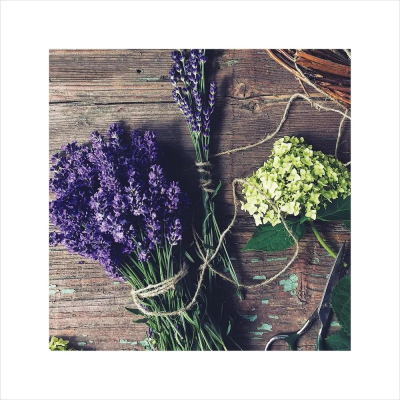 Изображение товара Постер Лакарт Дизайн Букеты 30х30 см