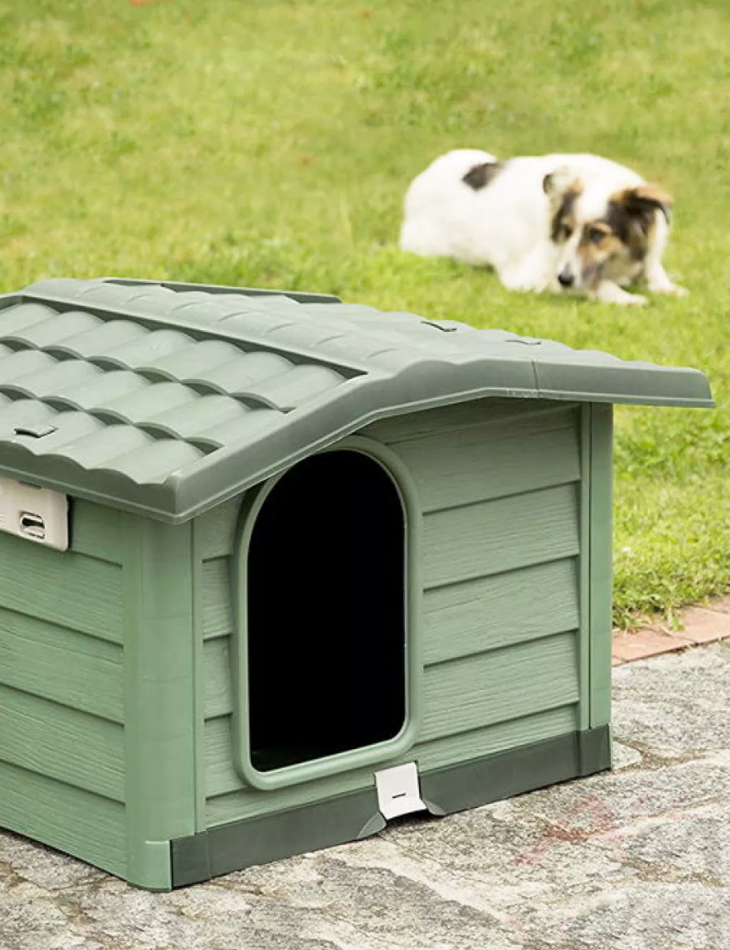 При покупке домика - подставка для корма в подарок!