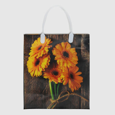 Изображение товара Сумка подарочная Мегамаг мягкий пластик PBS 23х26х10 см в ассортименте