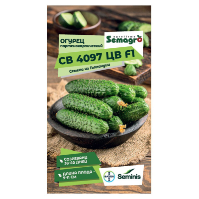 Изображение товара Семена огурца партнерокарпика Seminis 4097 F1 суперранний урожай