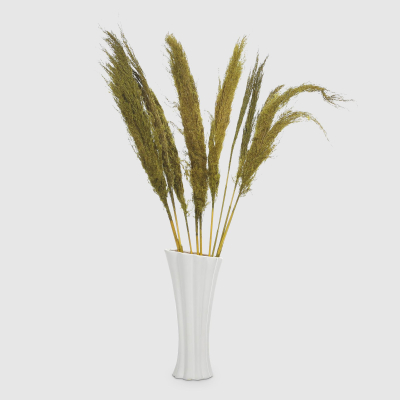 Изображение товара Сухоцветы Dekor pap IJ0047 высота 90-100 см зеленые Изображение товара Сухоцветы Dekor pap IJ0047 высота 90-100 см зеленые